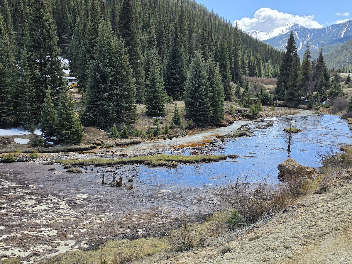 Silverton Mountain Ski Area Photo 3