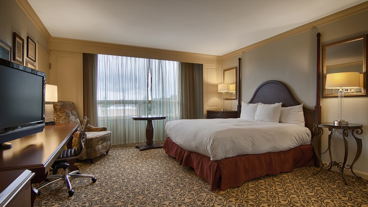 Hotel room photo 6