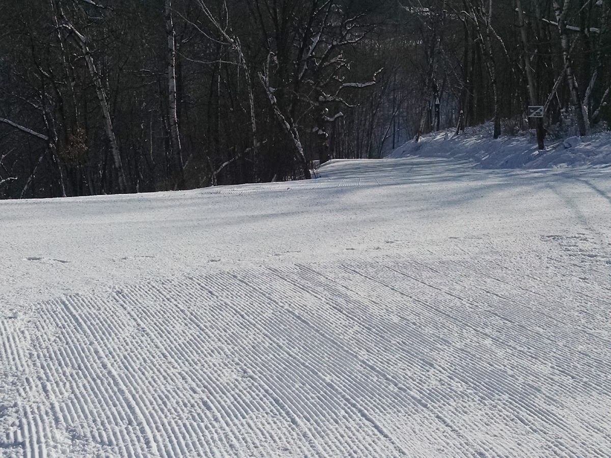 Coffee Mill Ski Area Photo 6