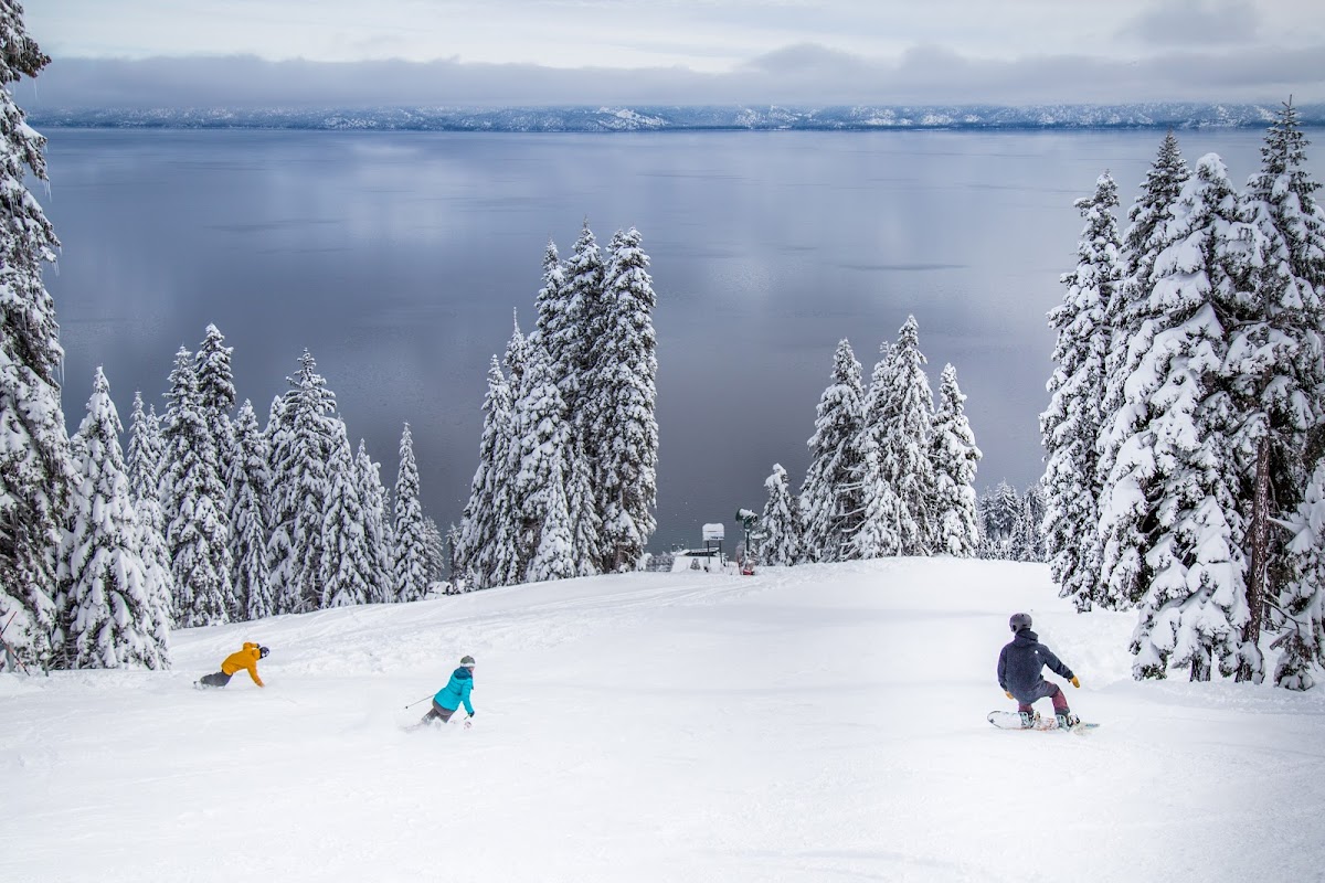 Homewood Mountain Resort Photo 6