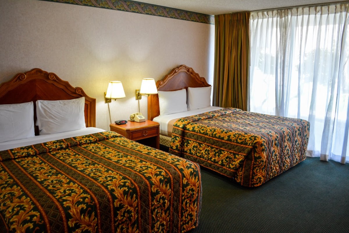 Hotel room photo 7
