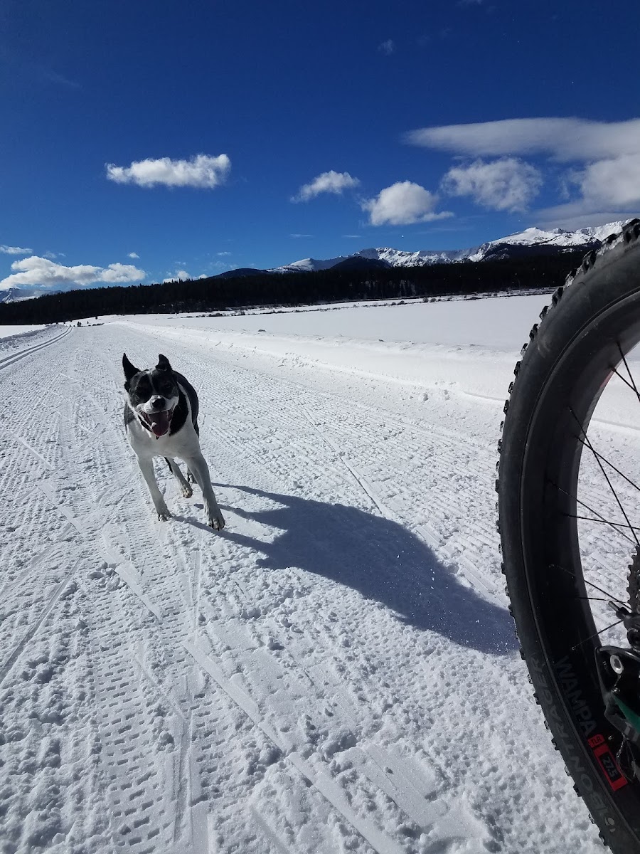 Tennessee Pass Nordic Center & Sleep Yurts Photo 6