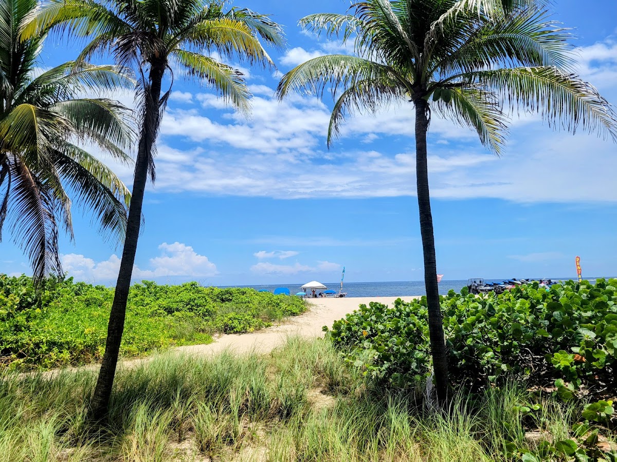Lighthouse Cove Resort Photo 3