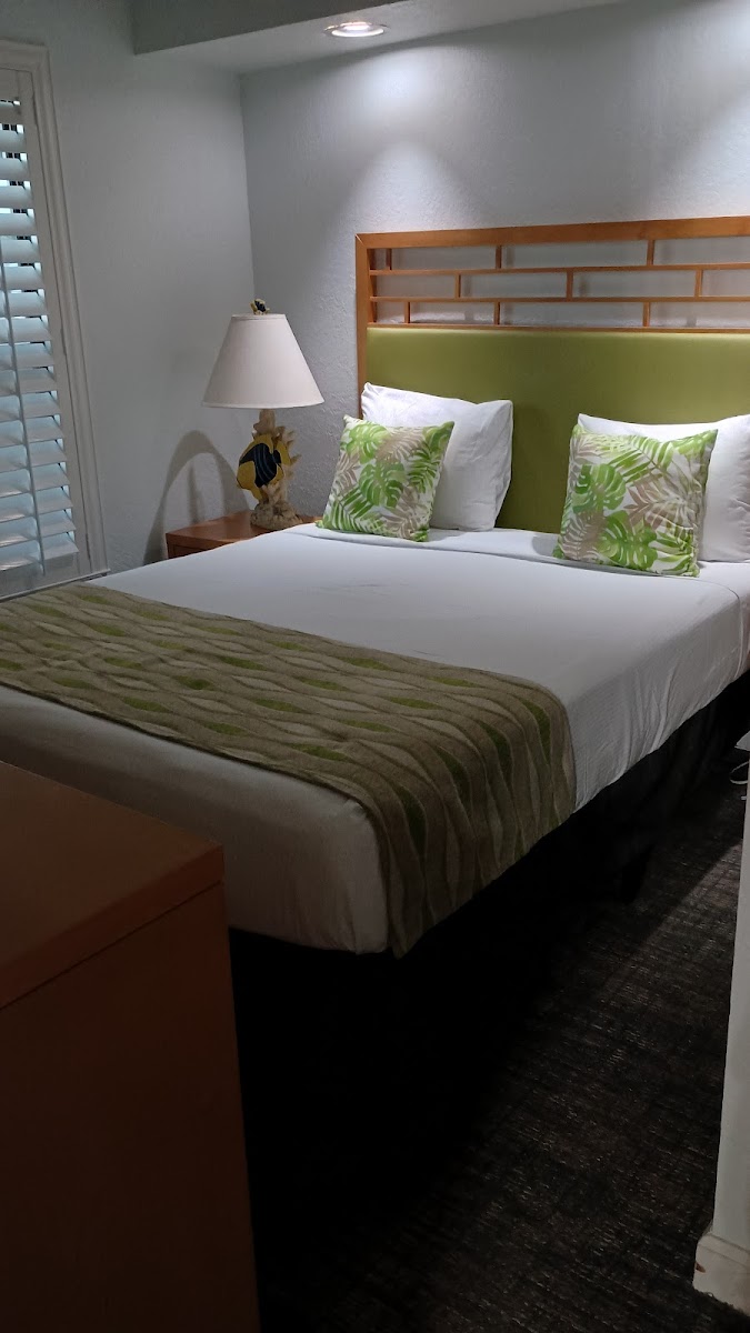 Hotel room photo 7