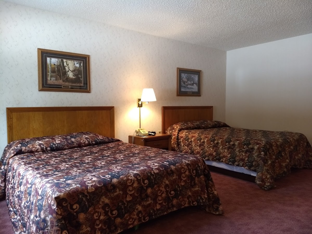 Hotel room photo 1