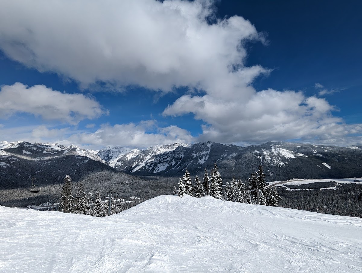Silver Fir Lodge Photo 2