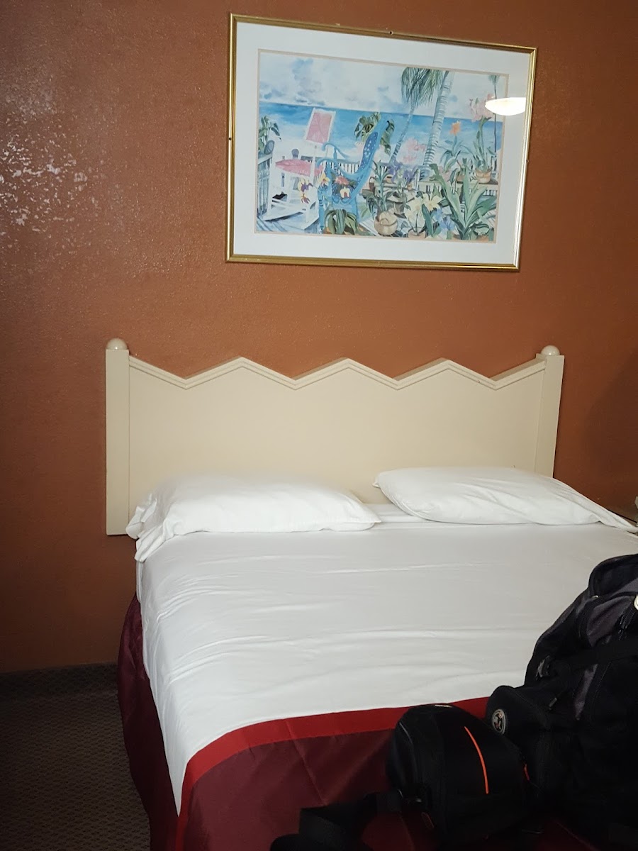 Hotel room photo 3
