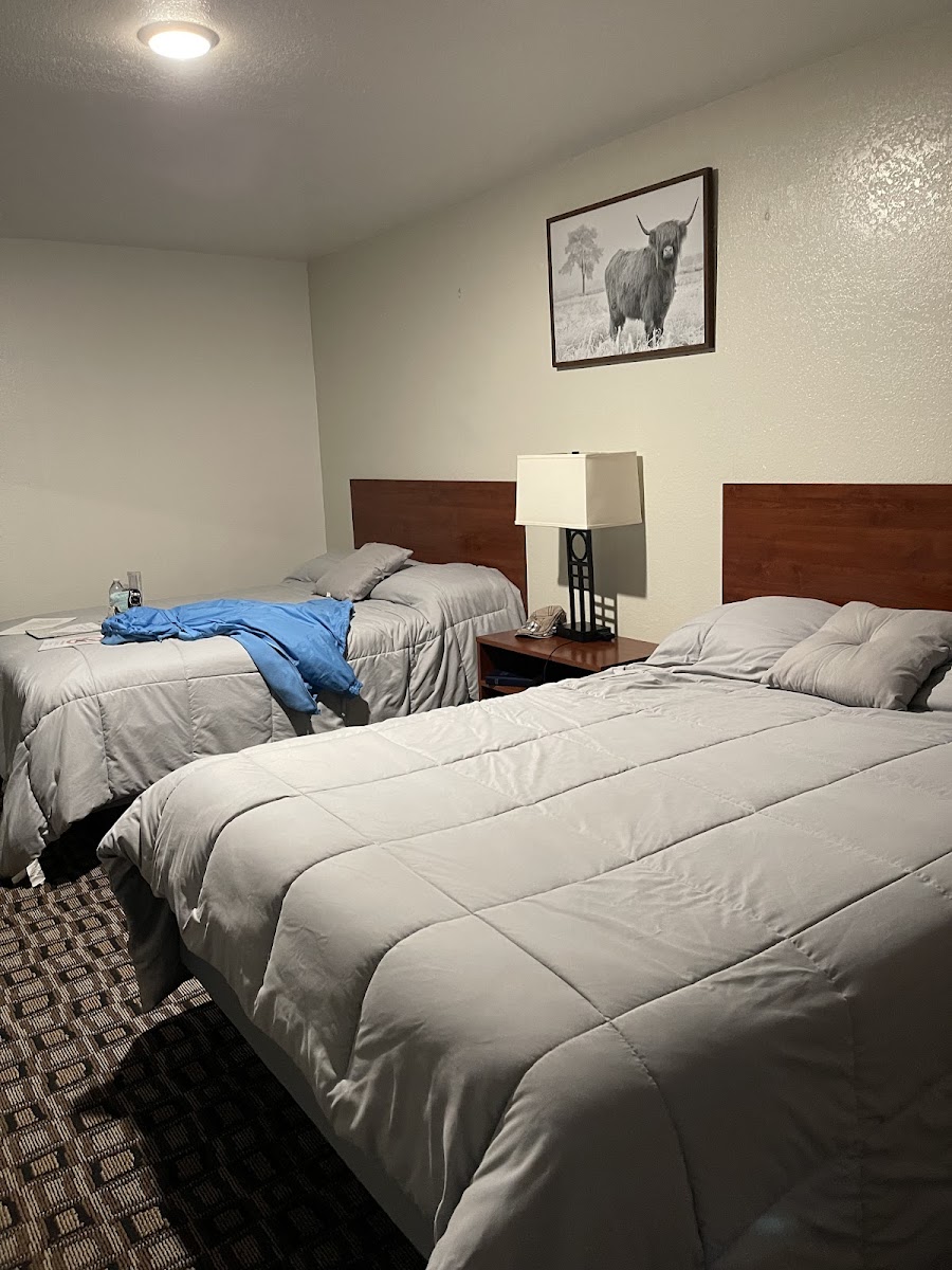 Hotel room photo 5