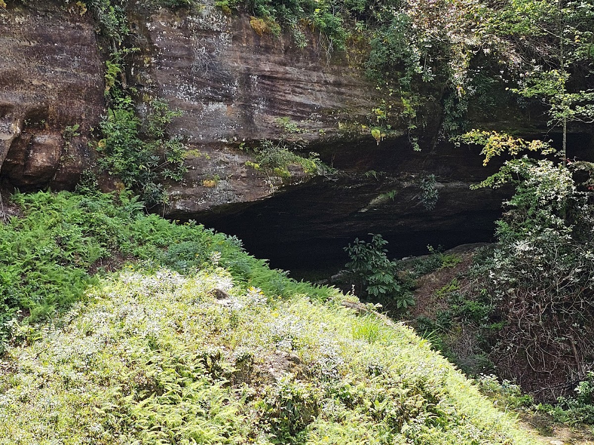 Natural Bridge State Resort Park Photo 4