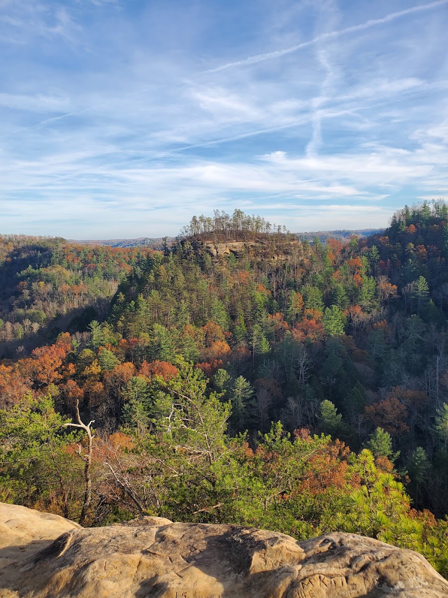 Natural Bridge State Resort Park Photo 6