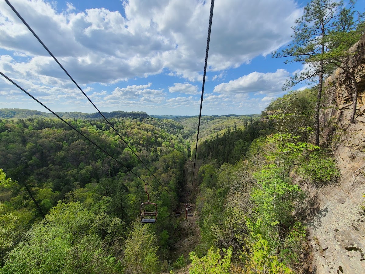 Natural Bridge State Resort Park Photo 7