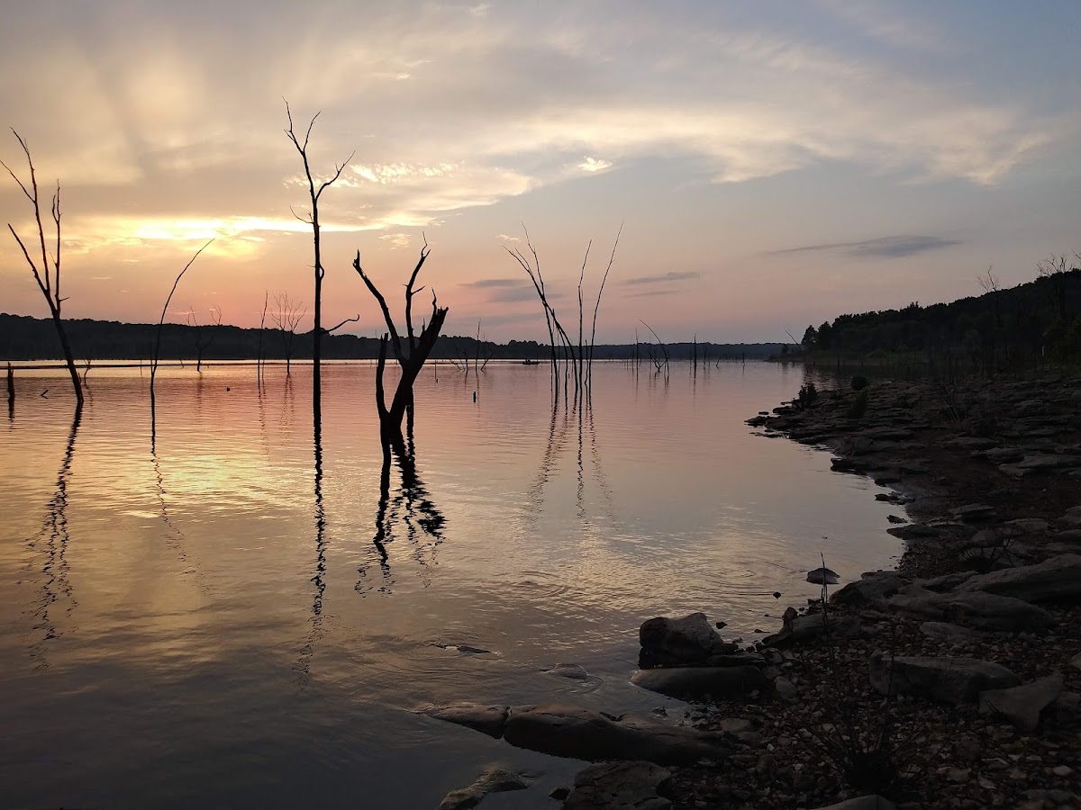 Bucksaw Resort & Marina Photo 4