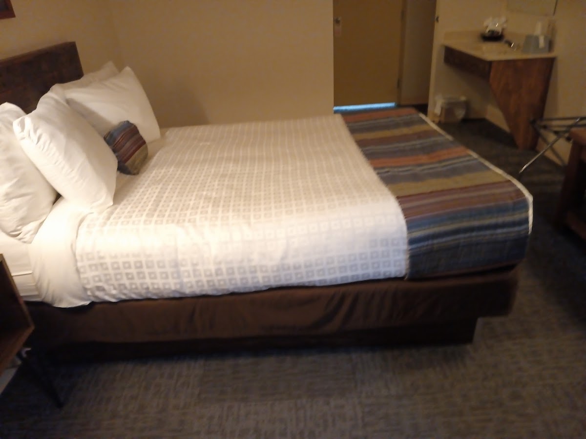 Hotel room photo 1