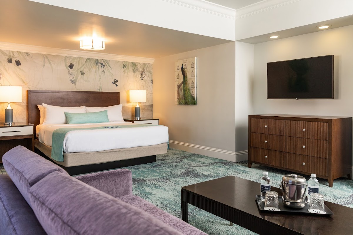 Hotel room photo 1