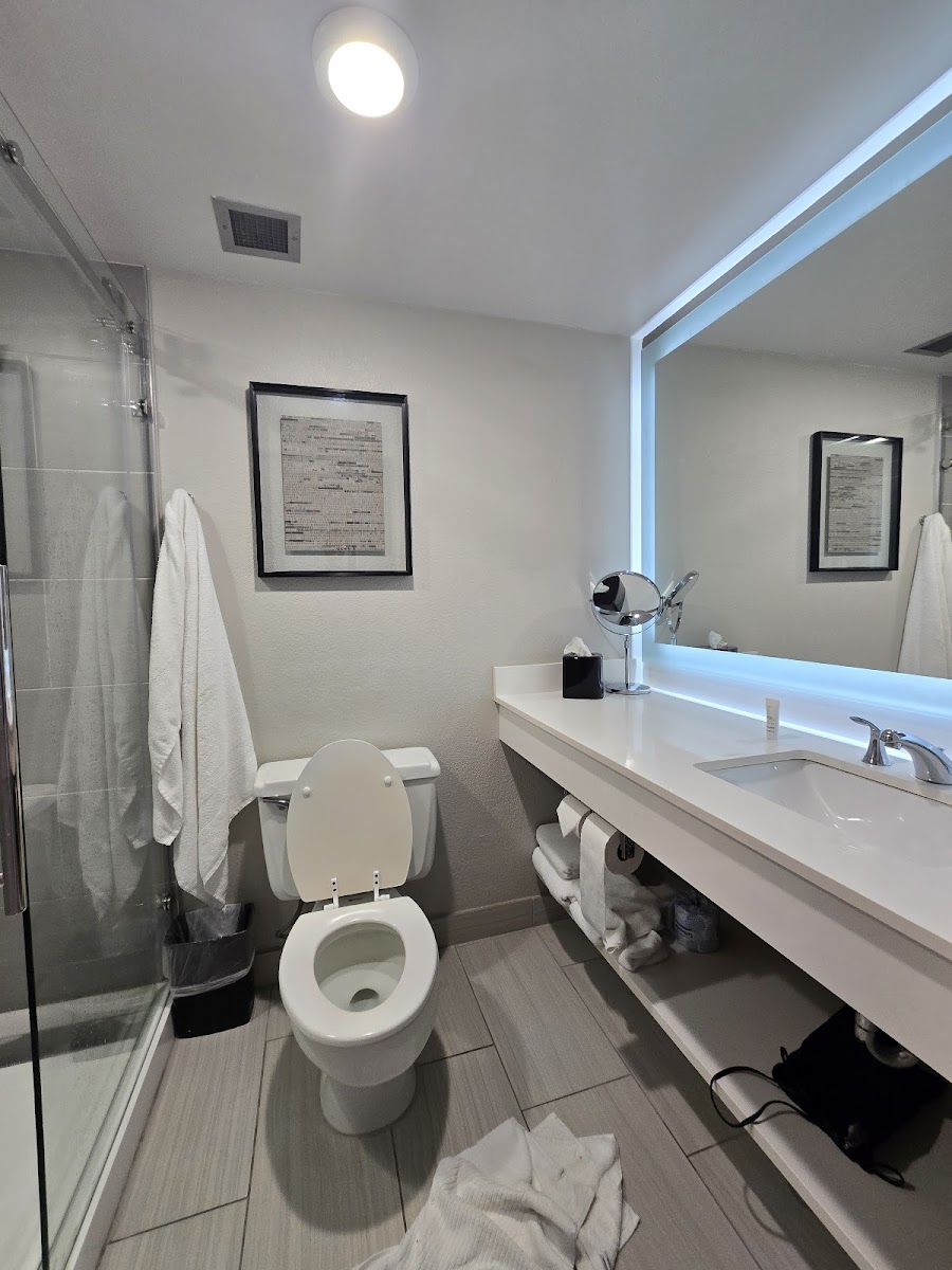Marriott Tampa Westshore Photo 3