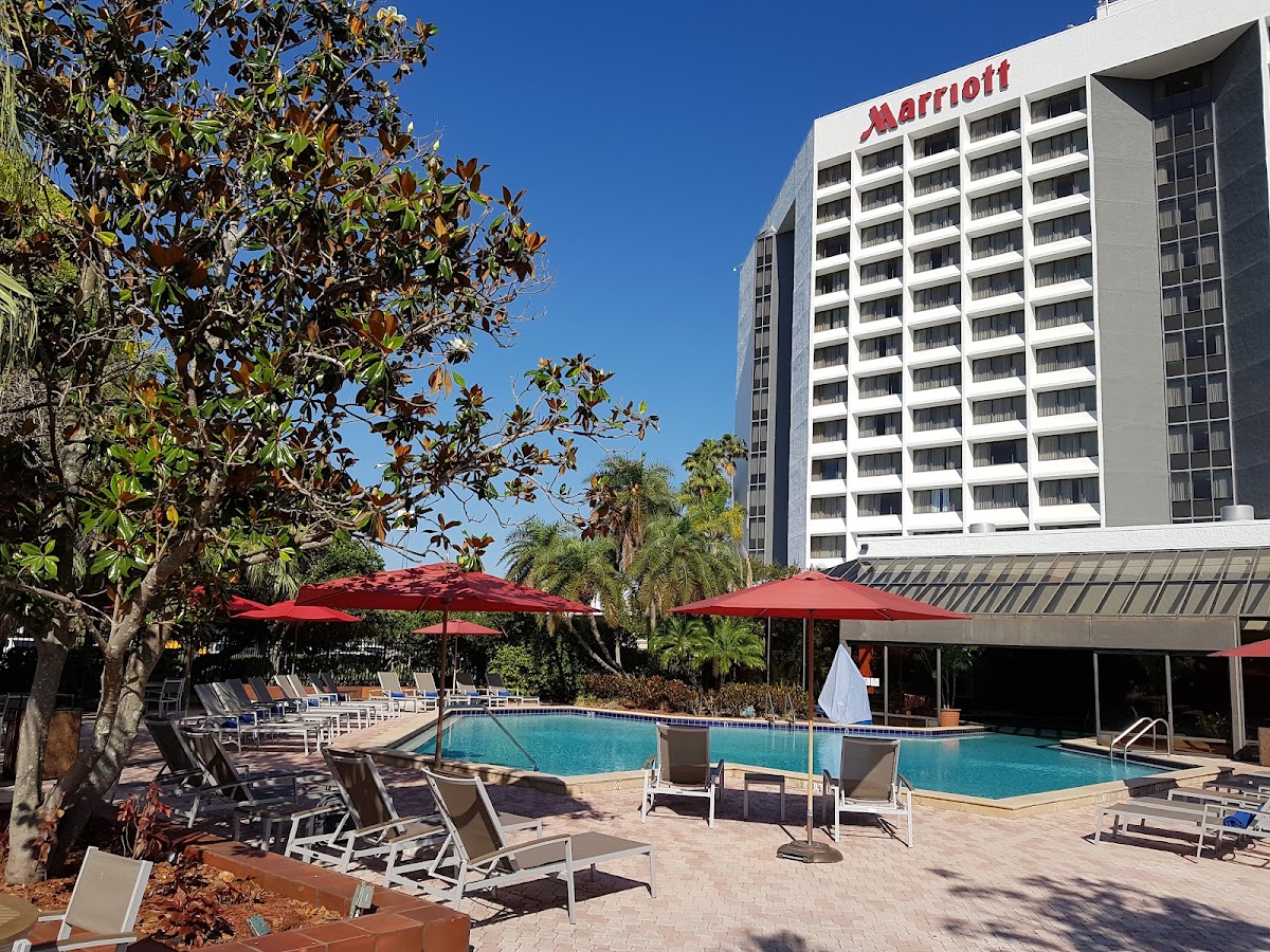 Marriott Tampa Westshore Photo 6
