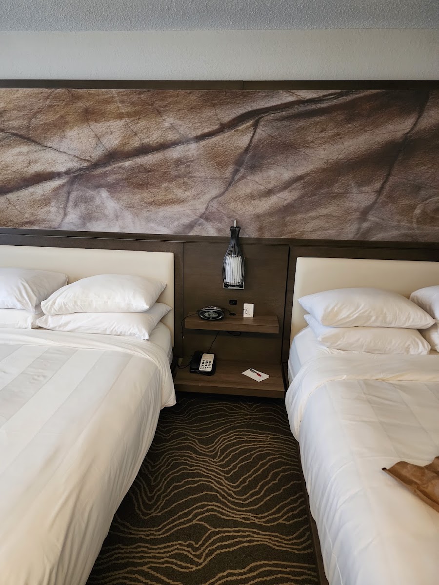 Hotel room photo 9