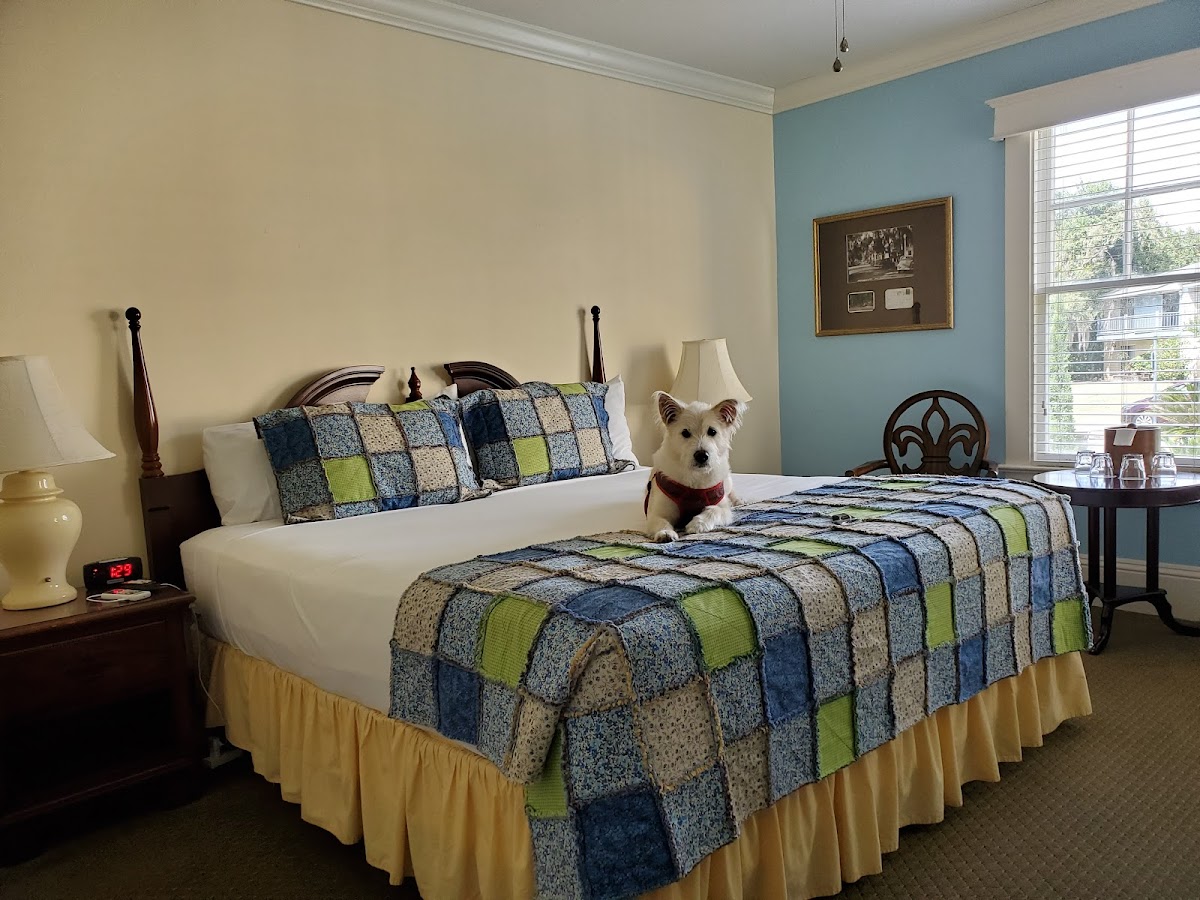 Hotel room photo 8