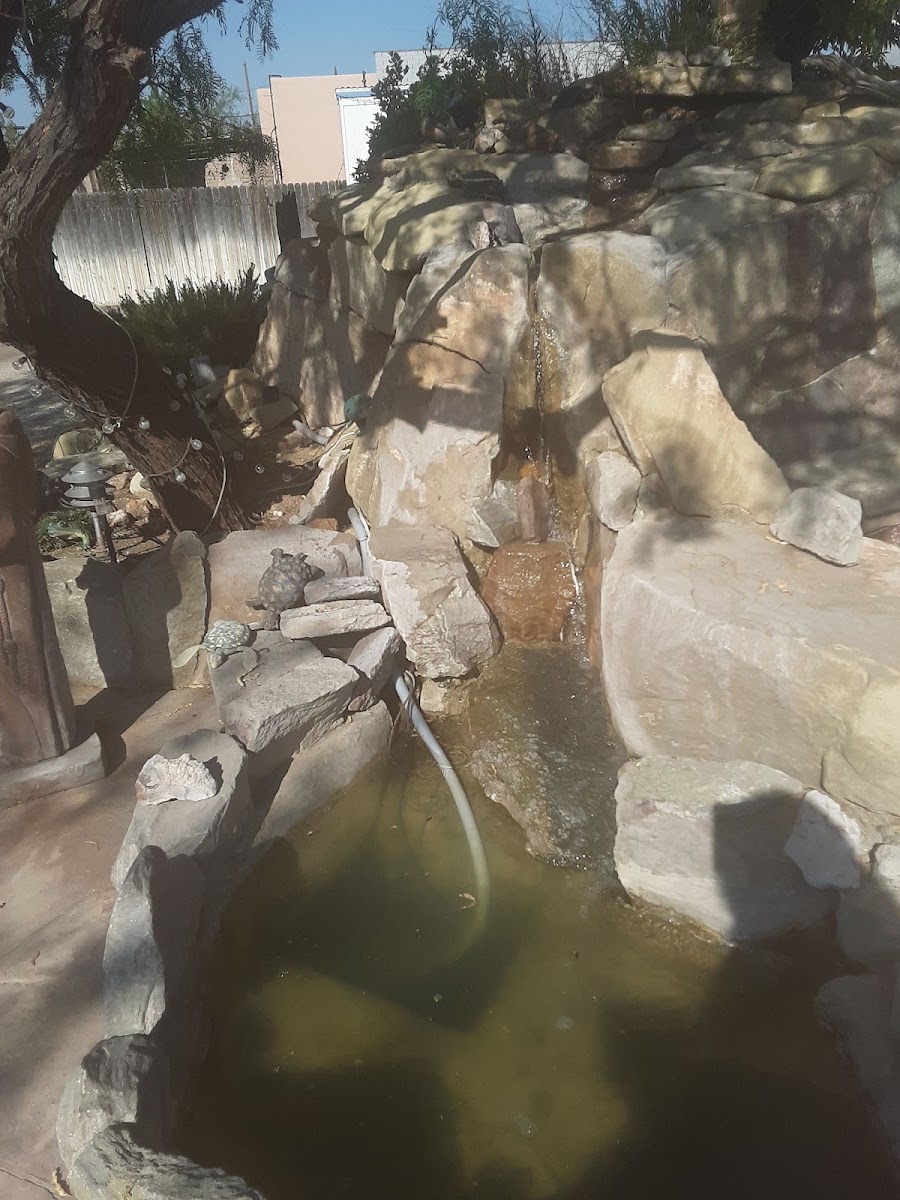 La Paloma Hot Springs & Spa Photo 2