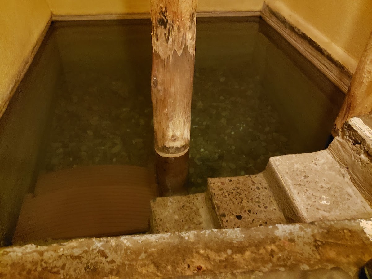 La Paloma Hot Springs & Spa Photo 3