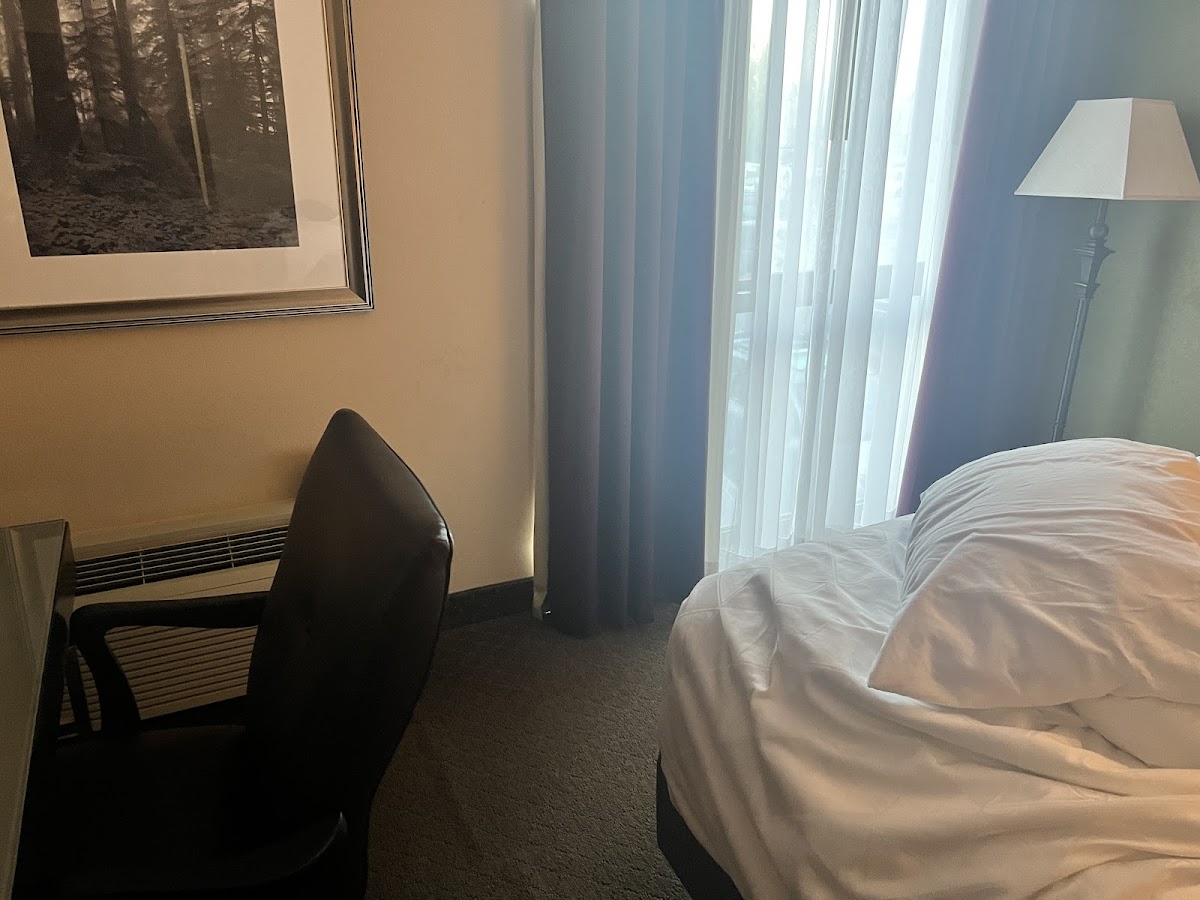 Hotel room photo 10