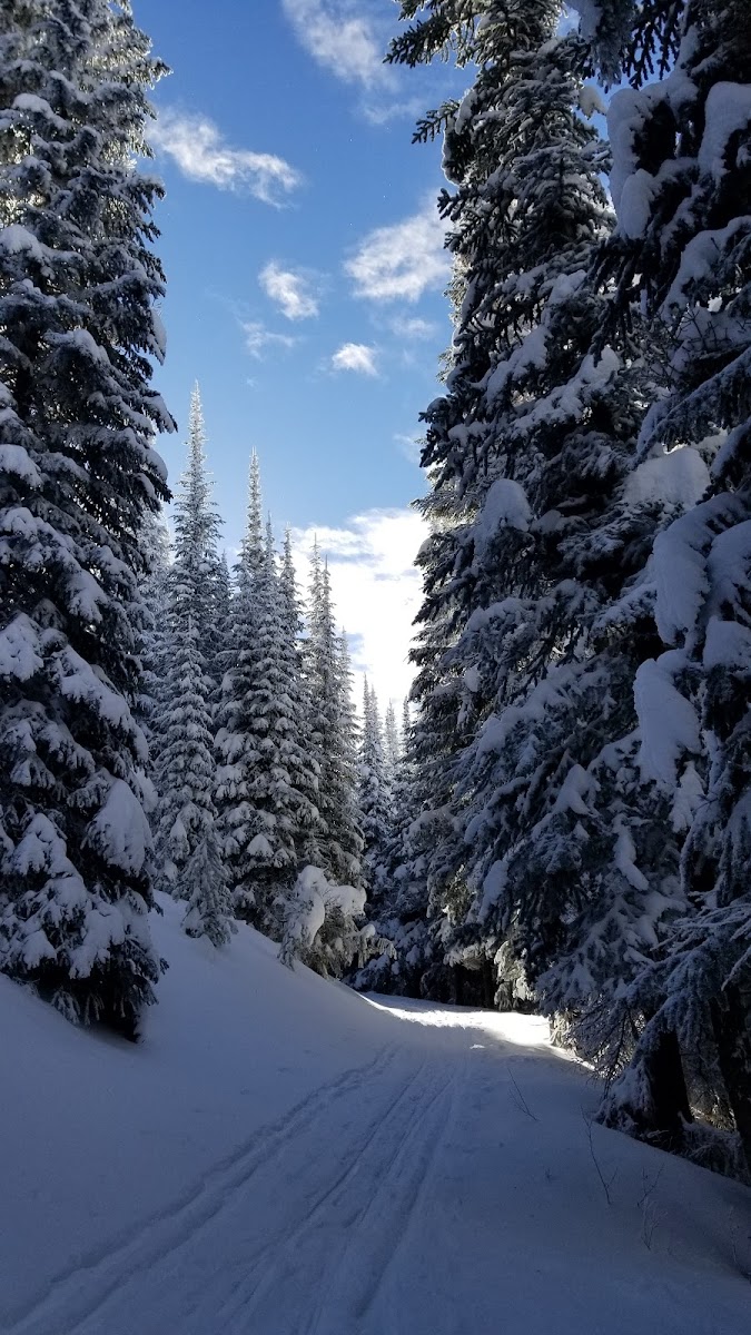 Magic Mountain Ski Resort Photo 2
