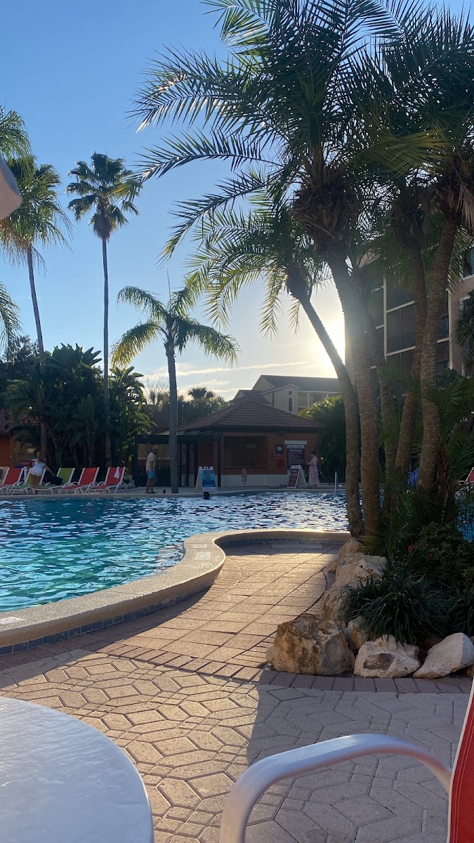 Westgate Vacation Villas Resort Photo 4