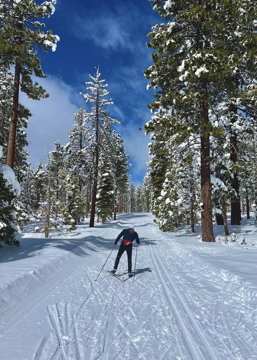 Tahoe XC Photo 3