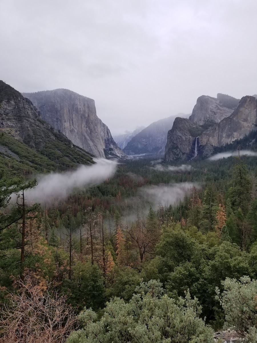 The Ahwahnee Photo 3