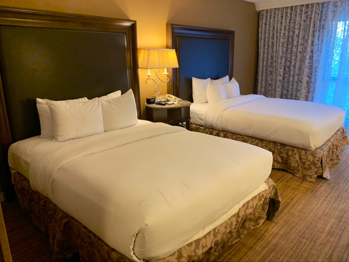 Hilton St. Louis Airport Photo 5