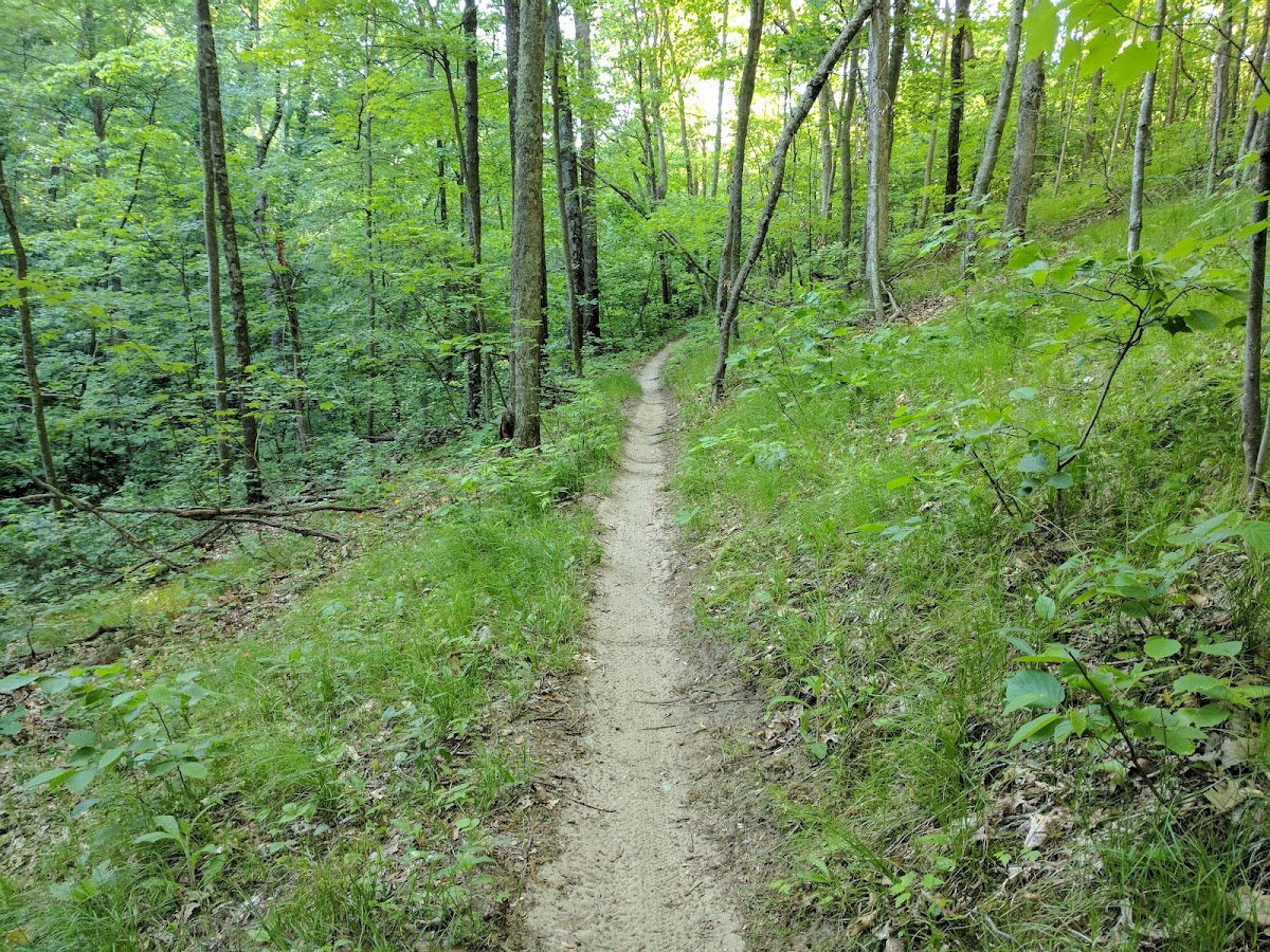 Cannonsburg Ski Area Photo 4