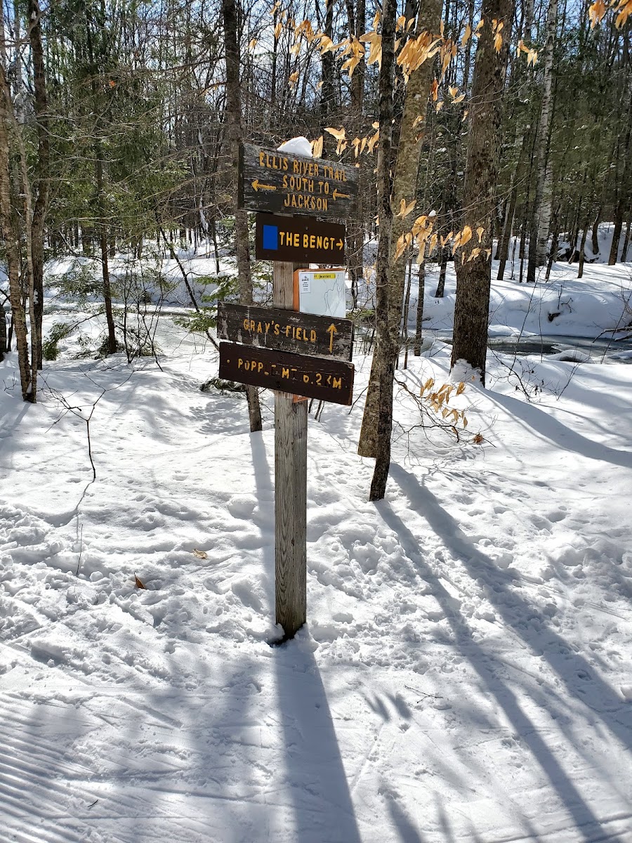 Jackson Ski Touring Foundation Nordic Ski Area Photo 3