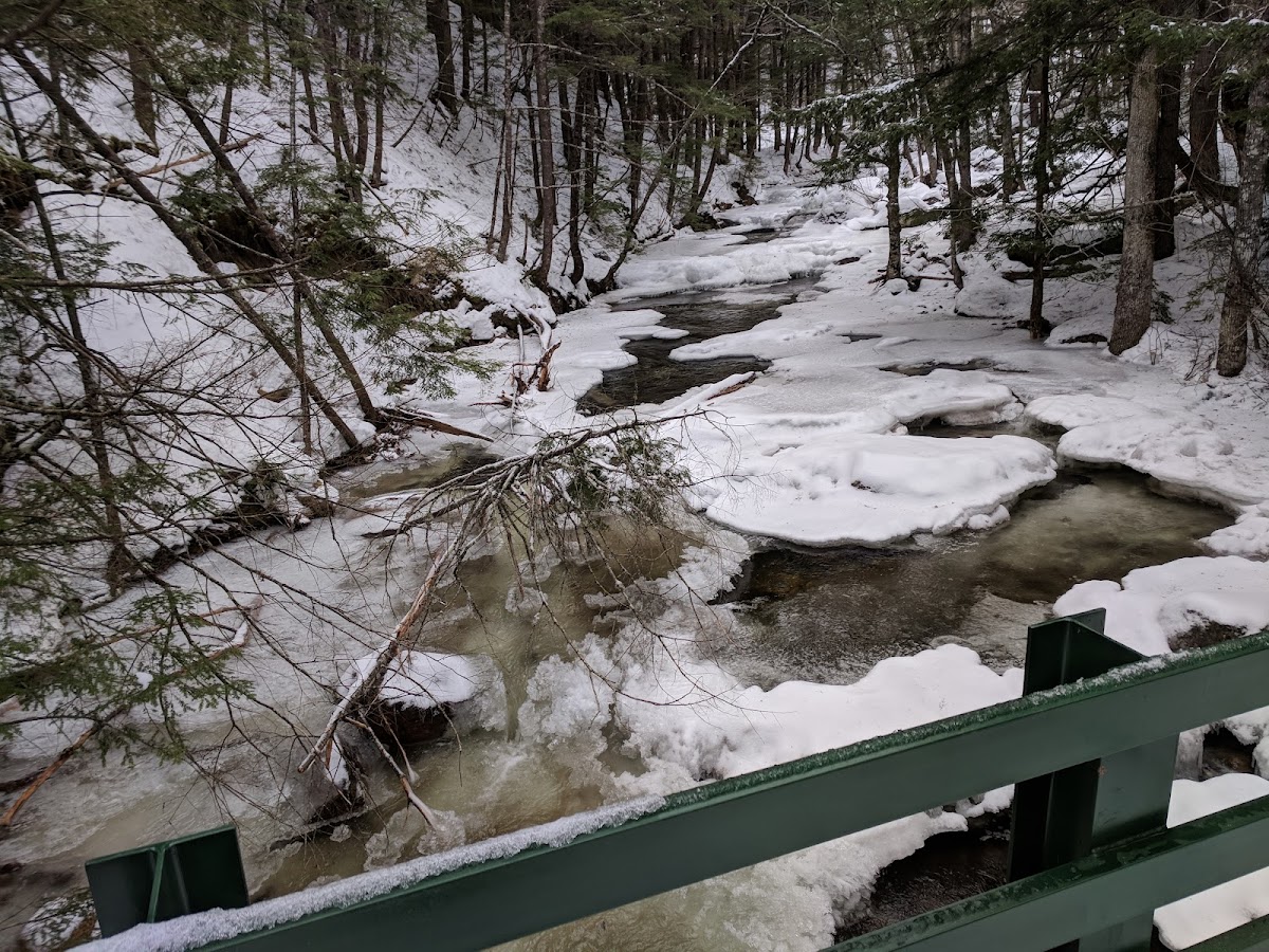 Jackson Ski Touring Foundation Nordic Ski Area Photo 5