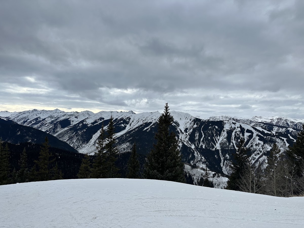 Silver Queen Gondola Photo 4