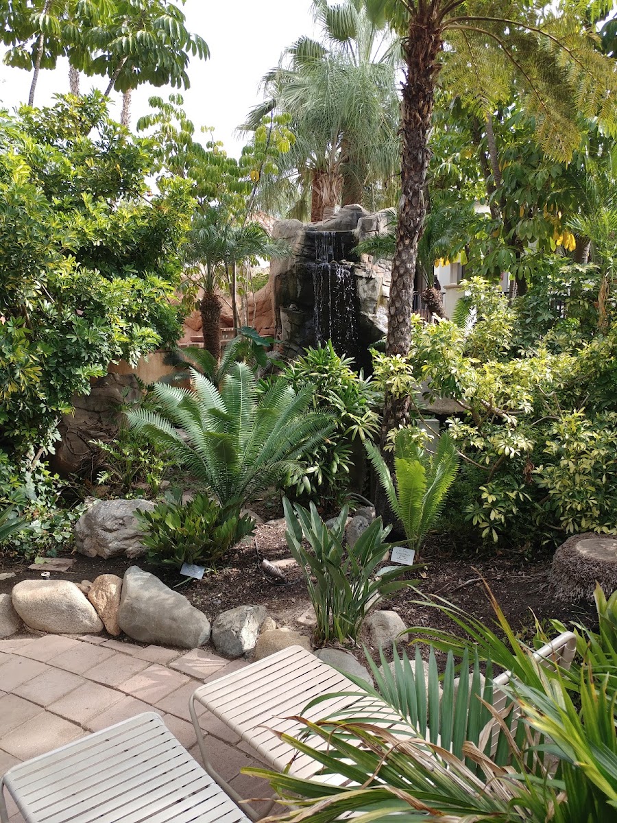 Glen Ivy Hot Springs Photo 5