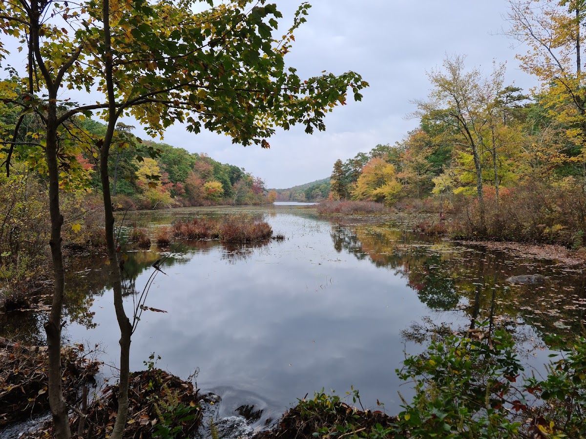 AMC Mohican Outdoor Center Photo 5