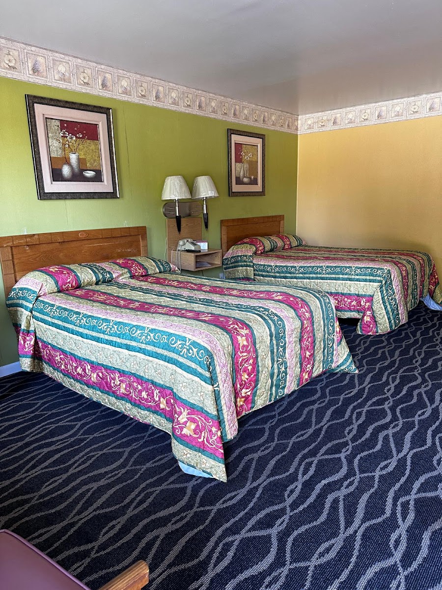 Park Inn Photo 2