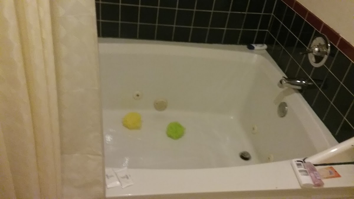 Hotel room photo 1