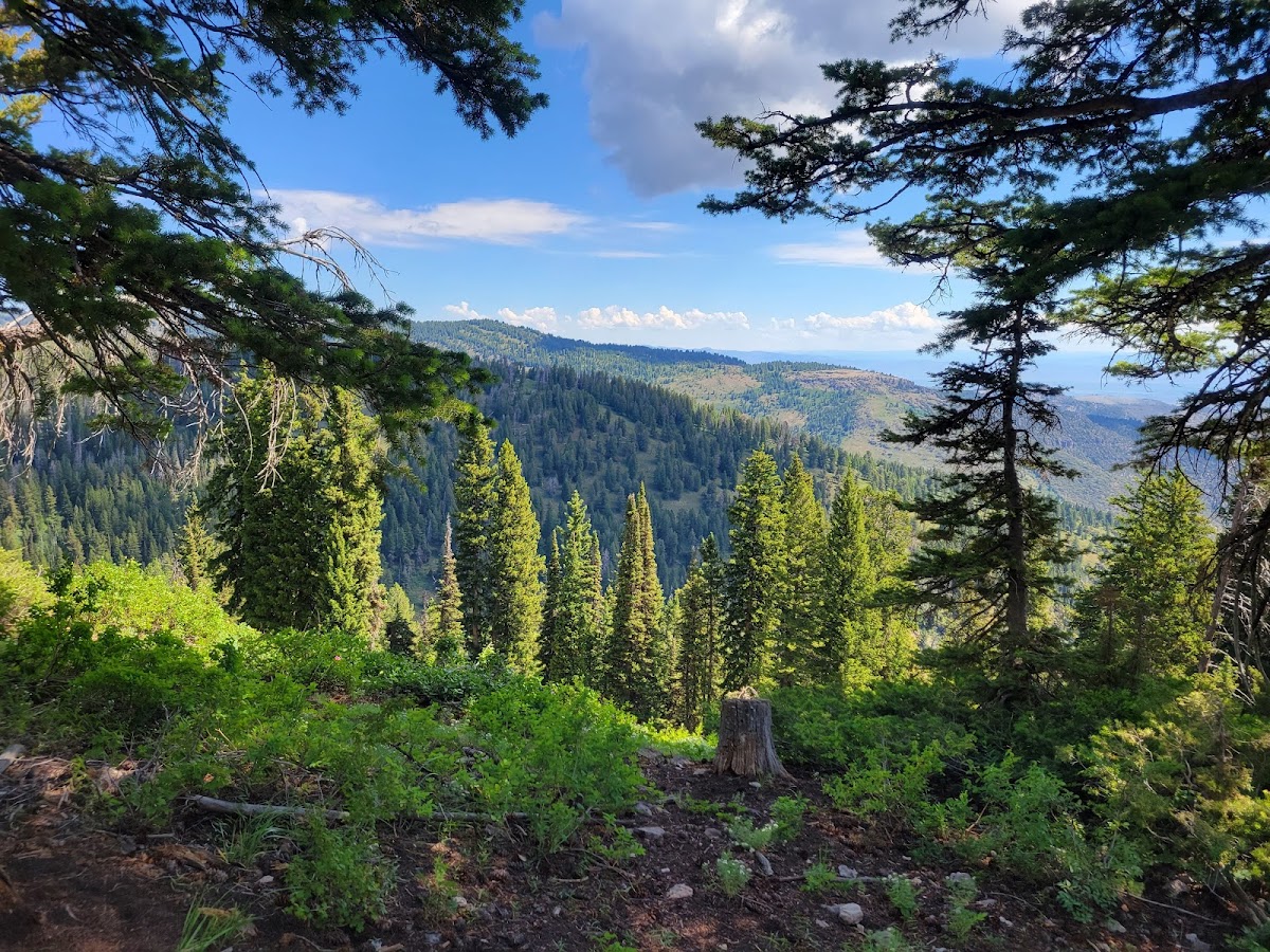 Beaver Mountain Ski Area Photo 3