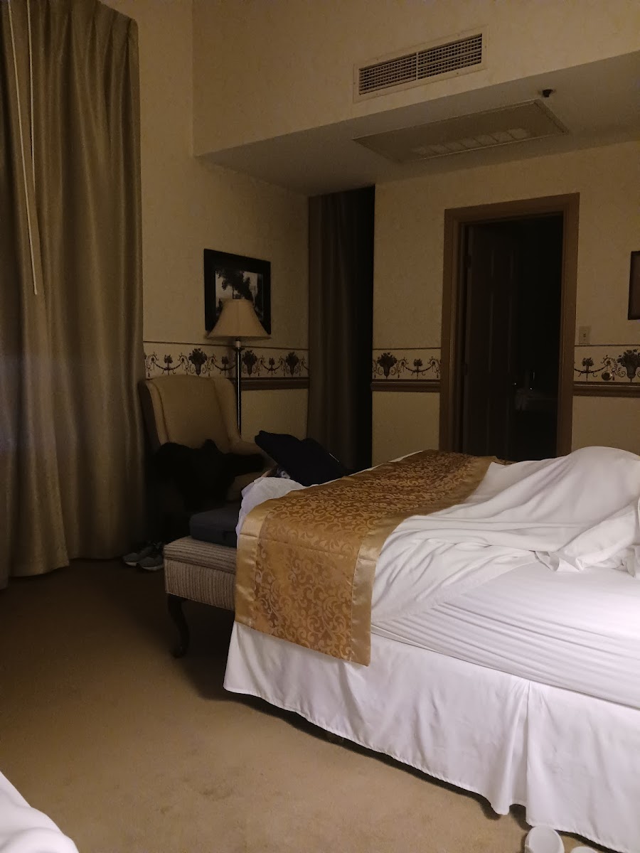 Hotel room photo 6