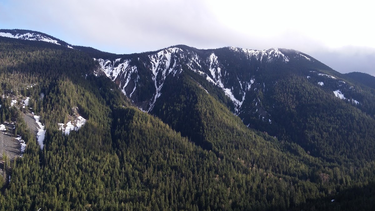 White Pass Ski Area Photo 5