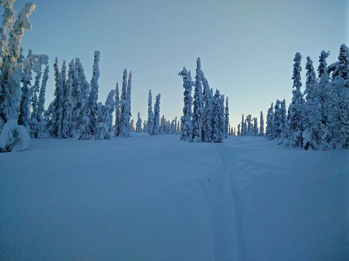 Ski Land Ski and Snowboard Area Photo 5