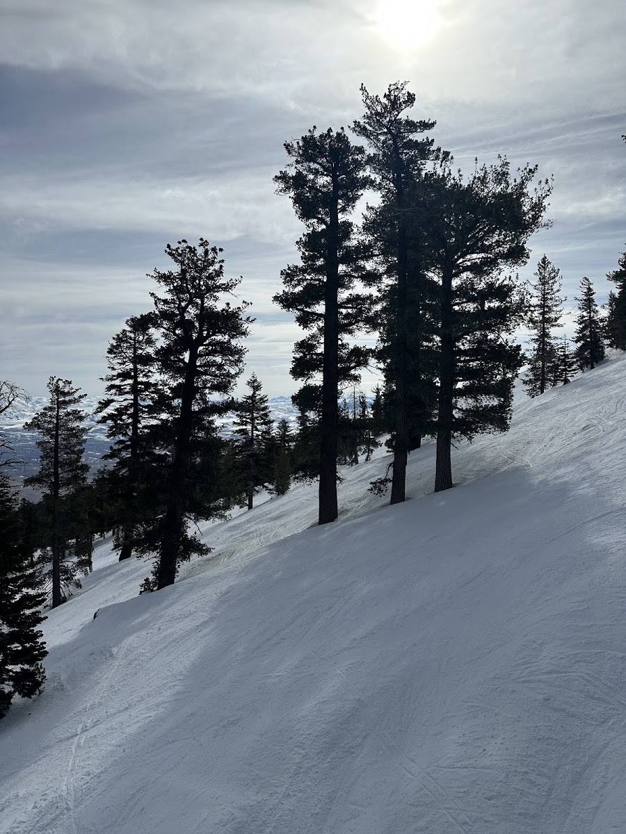 Heavenly Mountain Resort Photo 3